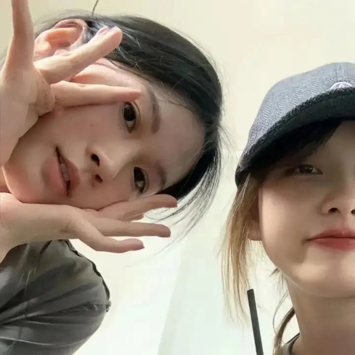 奥斯汀书会 封面