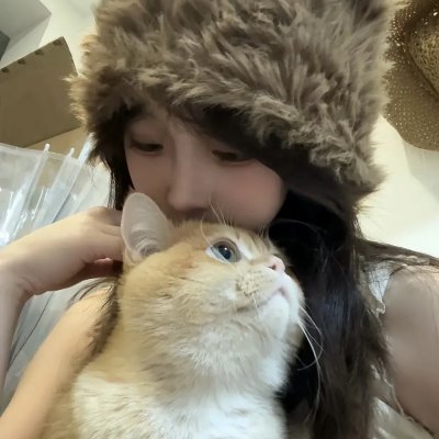 洞察力 封面